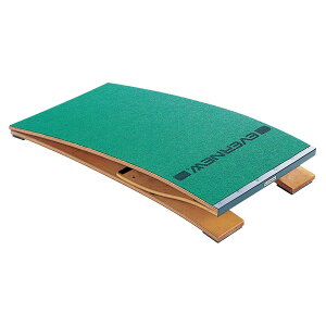 �y���������z�G�o�j���[ EKF409 ���C�^�[�� ER�|120S EVERNEW