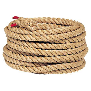 yzg[GCCg B2007 j[v 45|50M TOEILIGHT