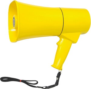 g[GCCg B2413 gTS631 TOEILIGHT