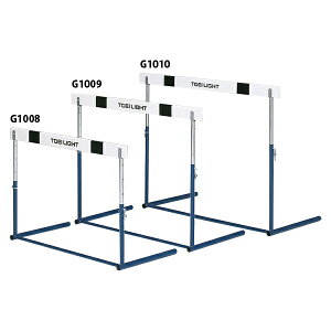 g[GCCg G1009 n[hs2 TOEILIGHT