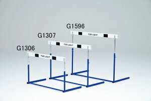 g[GCCg G1307 n[hsABS|2 TOEILIGHT