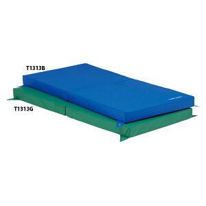 �y���������z�g�[�G�C���C�g T1313B �S�_�p���~�}�b�g SE90�i�j �u���[ TOEILIGHT