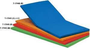 g[GCCg T1794G \tgmXbv}bg  TOEILIGHT