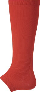 y290~zfTg L^J[XgbLO bh DESCENTE C8403 RED