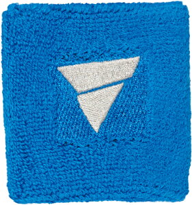 �y����290�~�z���B�N�^�X VICTAS ���X�g�o���h V�|WB049 BL VICTAS 044732 0120