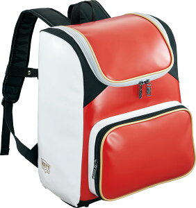 [bg GifCpbN bh×zCg ZETT BA481 6411