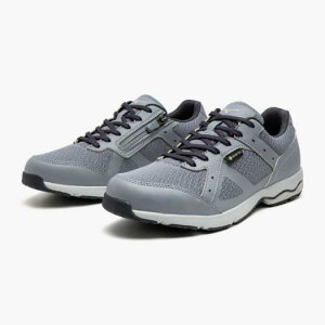 LD AEh 4 SW GTX B1GD2501