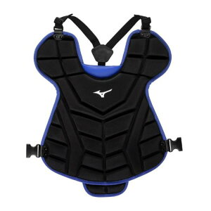 ~Ym p^S\tg{[pveN^[ ubN×PlCr[ Mizuno 1DJPD25096