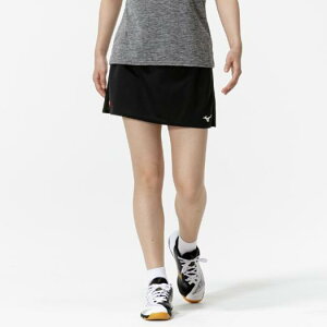 ~Ym Q[XJ[g(싅) ubN Mizuno 82JBC22009