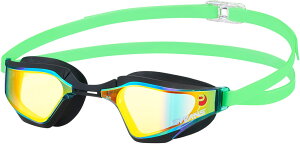 y݌ɏzXY VALKYRIE(@L[) [VONbVt XC~OS[O(~[^Cv) SR-72MPAFAB O[ SWANS SR72MPAFAB GOR