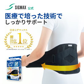 腰ベルト 腰サポーター 医療用 しっかりガード 腰 スタンダードプラス メディエイド コルセット 腰椎ベルト 腰コルセット サポーター 女性 男性 腰椎コルセット スポーツ 大きいサイズ 大きめ 日常 ゆがみ 骨盤 姿勢 通気性 ゴルフ 吸水速乾 反り 腰 MEDIAID