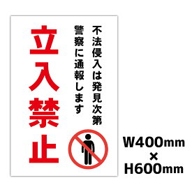 立入禁止 プレート看板 W400×H600ミリ 注意看板 警告看板 注意書き 屋外 立ち入り禁止 パネル看板 横幅40cm 高さ60cm 白色 黄色 緑色 青色