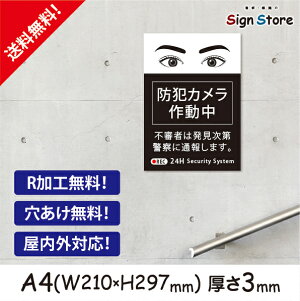 hƃJysR҂͒ʕ񂵂܂z210×297mm Ŕv[g TC { ē TCv[g ŔW Ŕh~  f_B . 01_a4_w210h297_b