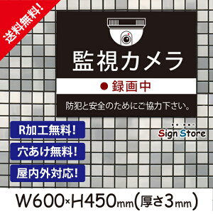 ĎJ^撆yhƂƈSׁ̈z600×450mm Ŕv[g TC { ē TCv[g ŔW Ŕh~  f_rbOTCYB11 . 01_b_w600h450_b11
