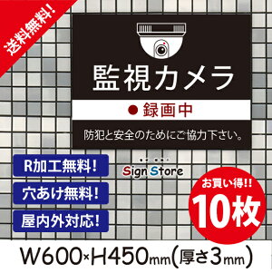 ĎJ^撆yhƂƈSׁ̈z600×450mm 10Zbg Ŕv[g TC { ē TCv[g ŔW Ŕh~  f_rbOTCYB11 . 01_b_w600h450_b11_10