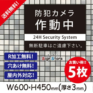 hƃJ쓮yfԂ͂z600×450mm 5Zbg Ŕv[g TC { ē TCv[g ŔW Ŕh~  f_rbOTCYB12 . 01_b_w600h450_b12_5