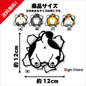 ɂ͂܂L XebJ[ yz Ԃp\R hO 12cm×12cm  IWi V[ lR ObY XebJ[  {. car_character_02shiri -B094N324N9