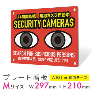 Ŕ v[g O v[gŔ  pl v  ϋv CoEh  p  ؍ h 󂫑΍ hƌ ΍ ZLeB ޓ hƃJ A~Ŕ 