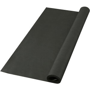 MǑ΍ MǑ΍ObY H  IRIS 298130 hV[g 10M ubN BS-10-B 593-4703