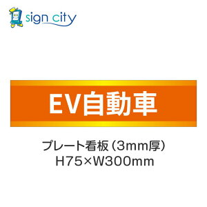 ԏ v[gŔ p[LO W H75XW300mm 019_EV_IW