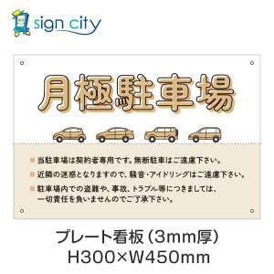 v[gŔ ԏ Ŕ ӏ  O A~ 300X450mm  005_ɒԏA_x[W