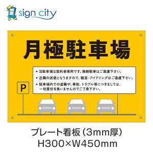 v[gŔ ԏ Ŕ ӏ  O A~ 300X450mm  017_ɒԏB_F