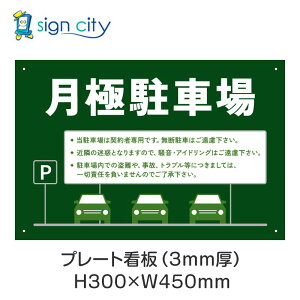 v[gŔ ԏ Ŕ ӏ  O A~ 300X450mm  018_ɒԏB_