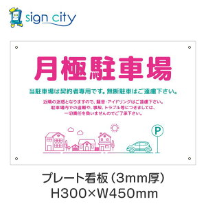 v[gŔ ԏ Ŕ ӏ  O A~ 300X450mm  032_ɒԏC_sN{