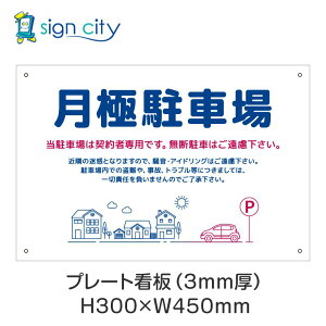 v[gŔ ԏ Ŕ ӏ  O A~ 300X450mm  033_ɒԏC_{