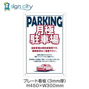 v[gŔ ԏ Ŕ ӏ  O A~ 300X450mm c 053_ɒԏE_zCg