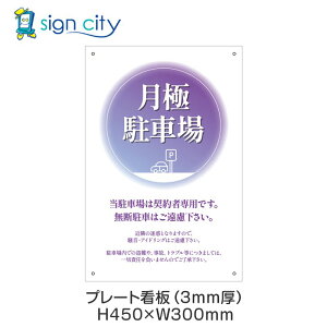 v[gŔ ԏ Ŕ ӏ  O A~ 300X450mm c 066_ɒԏF_p[v