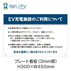 v[gŔ ԏ Ŕ ӏ  O A~ 300X450mm  097_EV[d{A_F