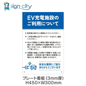 v[gŔ ԏ Ŕ ӏ  O A~ 300X450mm c 098_EV[d{B_