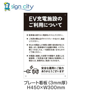 v[gŔ ԏ Ŕ ӏ  O A~ 300X450mm c 099_EV[d{B_