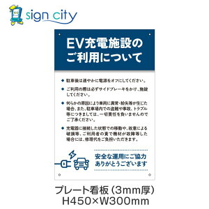 v[gŔ ԏ Ŕ ӏ  O A~ 300X450mm c 100_EV[d{B_F