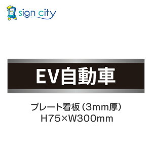 ԏ v[gŔ p[LO W H75XW300mm 019_EV_