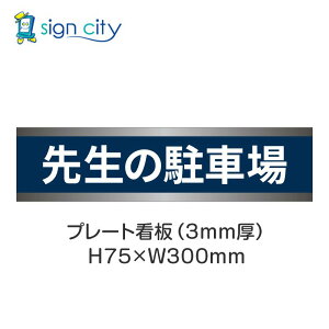 ԏ v[gŔ p[LO W H75XW300mm 009_搶̒ԏ_F