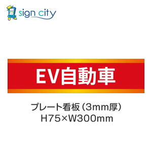 ԏ v[gŔ p[LO W H75XW300mm 019_EV_