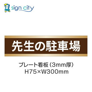 ԏ v[gŔ p[LO W H75XW300mm 009_搶̒ԏ_F