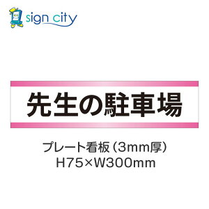 ԏ v[gŔ p[LO W H75XW300mm 009_搶̒ԏ_+sN