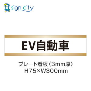ԏ v[gŔ p[LO W H75XW300mm 019_EV_+x[W