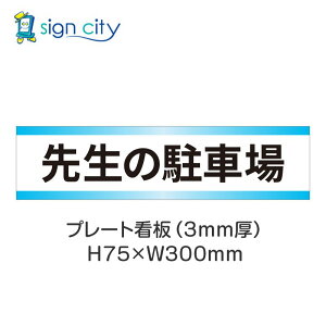 ԏ v[gŔ p[LO W H75XW300mm 009_搶̒ԏ_+F