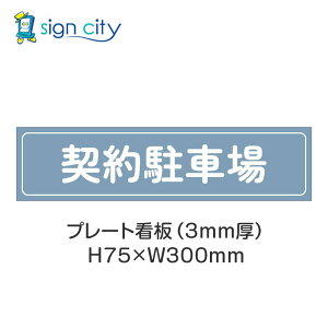 ԏ v[gŔ p[LO W H75XW300mm 002__񒓎ԏ_pE_[u[