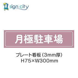 ԏ v[gŔ p[LO W H75XW300mm 001_ɒԏ_[Y