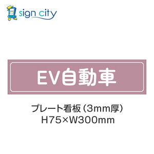 ԏ v[gŔ p[LO W H75XW300mm 019_EV_[Y