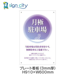 v[gŔ ԏ Ŕ ӏ  O A~ 600X910mm c 066_ɒԏF_p[v