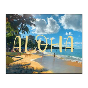 �L�����o�X�A�[�g �C���e���A �n���C �C ������� �Ǌ|�� CANVAS Landscape ALOHA F12 No.43204