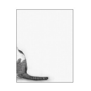 �L�����o�X�A�[�g �C���e���A �L ���� ������� �Ǌ|�� CANVAS Sketch �L�̂����� F12 No.43198
