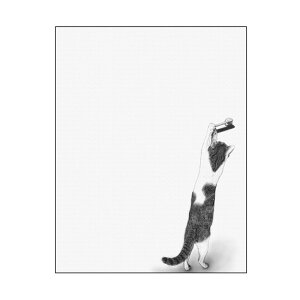 LoXA[g CeA L   Ǌ| CANVAS Sketch LƃhAmu F12 No.43200