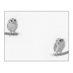 キャンバスアート インテリア 動物 おしゃれ 壁掛け CANVAS Sketch ふくろう F6 No.43201